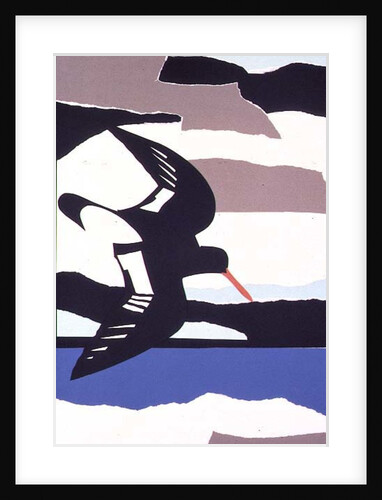 Oystercatcher by John Wallington
