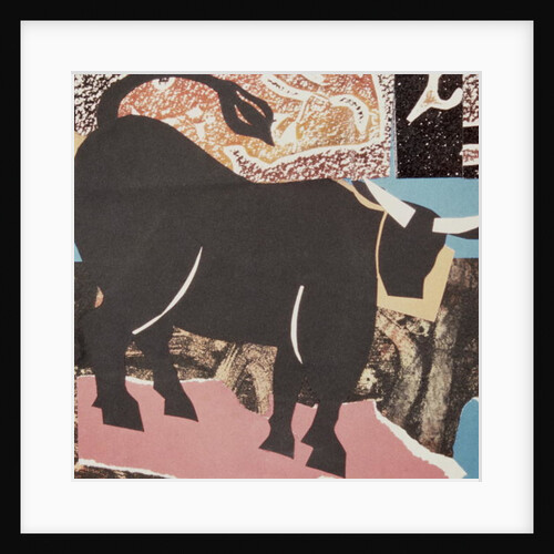 Aberdeen Angus Bull by John Wallington