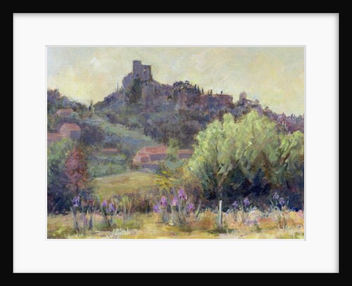 Vaison La Romaine, Vaucluse by Karen Armitage