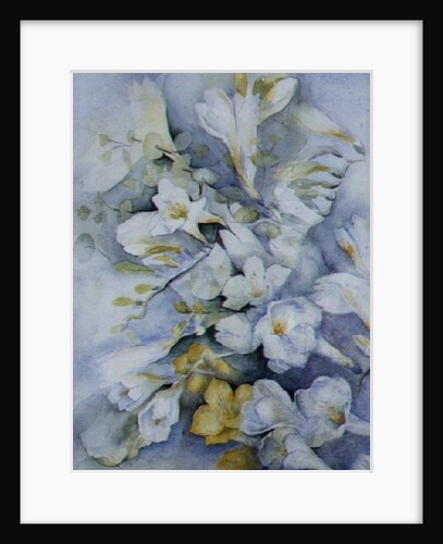 Freesia Eldus, Giant White by Karen Armitage
