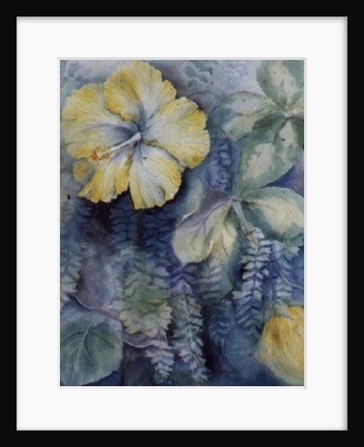 Hibiscus, yellow by Karen Armitage