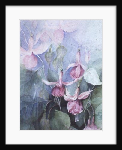 Fuschia, pink coachman by Karen Armitage