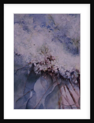 Lilac, Maud Norcut by Karen Armitage