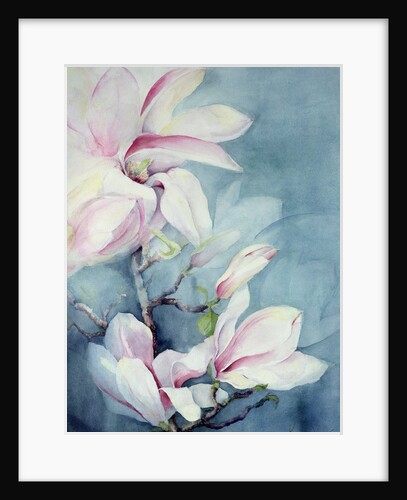 Magnolia Soulangeana by Karen Armitage