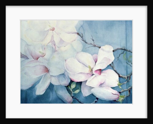 Magnolia Soulangeana (horizontal) by Karen Armitage