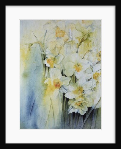 Narcissi and freesia by Karen Armitage
