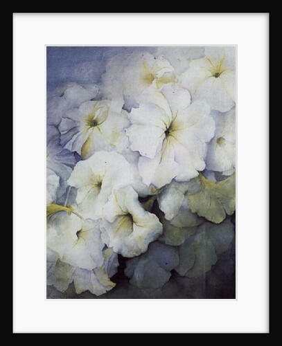 Petunia Snowball by Karen Armitage