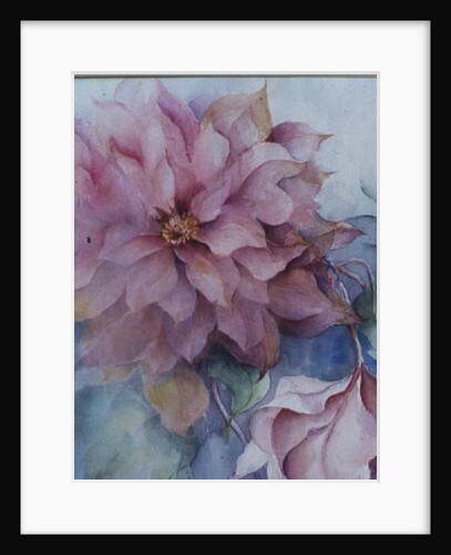Clematis Vyvyan Penell by Karen Armitage
