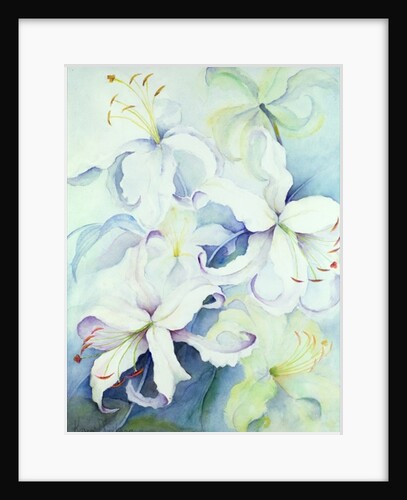 Lilium, Imperial Gold by Karen Armitage