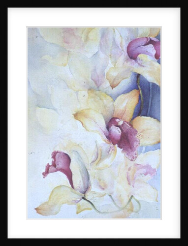 Orchid, Cymbidium, Prince Charles by Karen Armitage