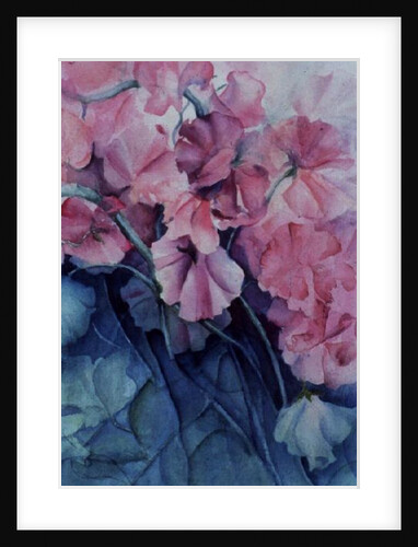 Sweet Peas, Pink Pride (vertical) by Karen Armitage