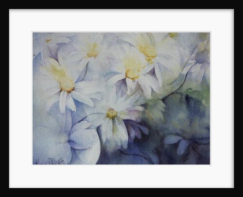 Daisies, Shasta by Karen Armitage