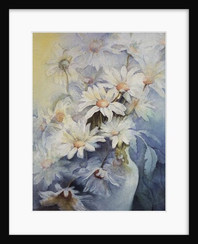 Chrysanthemum, Snowcap by Karen Armitage