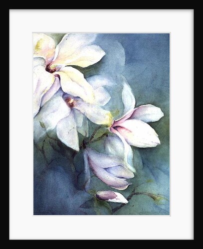 Magnolia Dedudata by Karen Armitage