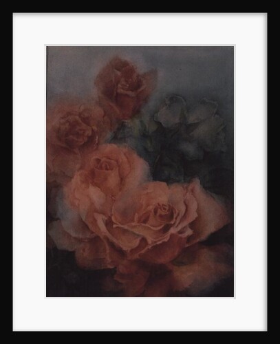Pink Roses, Prima Ballerina by Karen Armitage