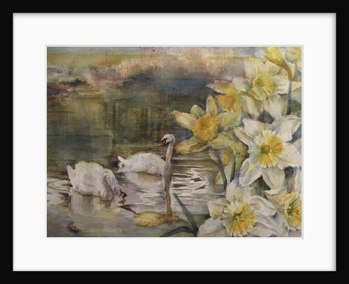 Swans at Hurst by Karen Armitage