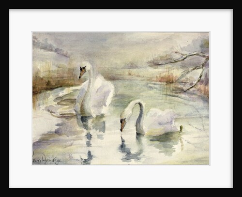 Swans in Winter by Karen Armitage