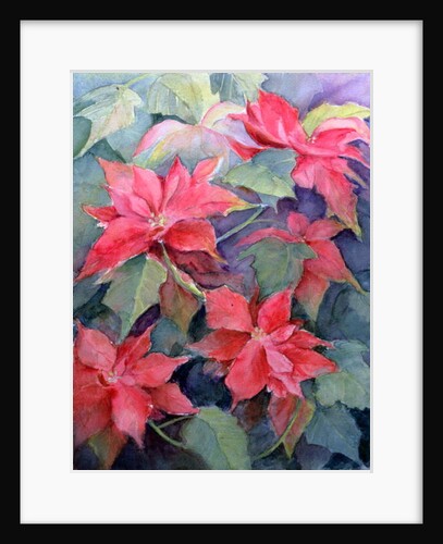 Poinsettia by Karen Armitage