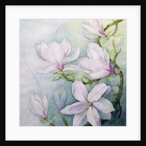 Magnolias by Karen Armitage