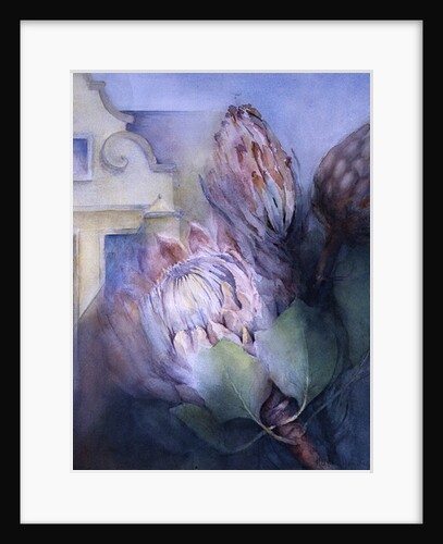 Protea at Stellenbosch, 1992 by Karen Armitage