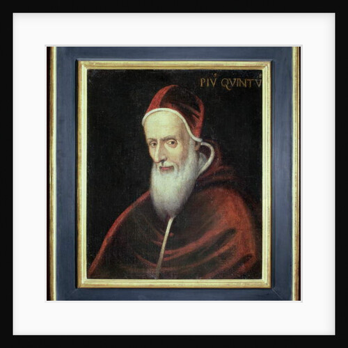 Portrait of Pope Pius V by Italian School