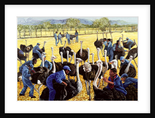 Ostrich Farm, 1988 by Komi Chen