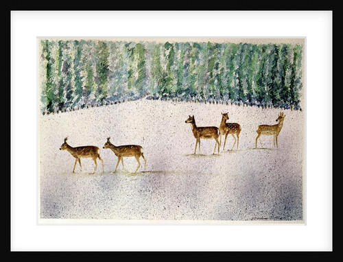 Deer in Snow by Suzi Kennett
