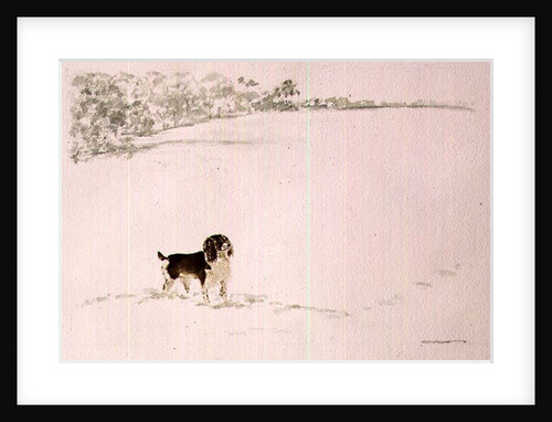 Springer Spaniel in the Snow by Suzi Kennett