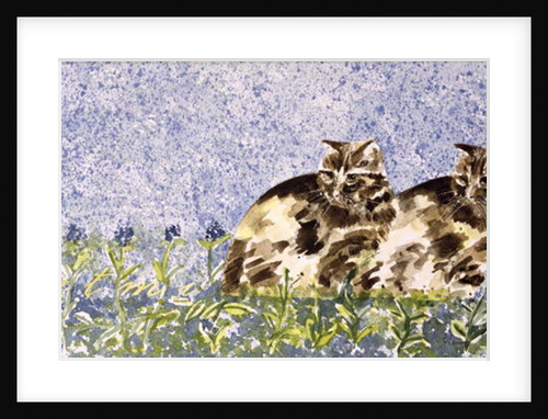 Cat Mint by Suzi Kennett