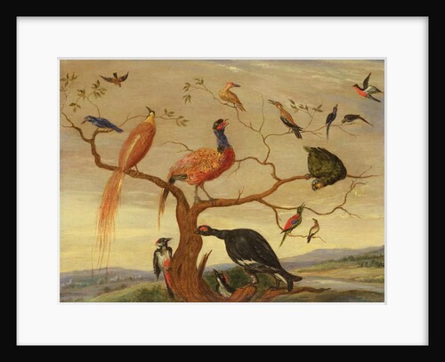 A Concert of Birds by Jan van the Elder Kessel