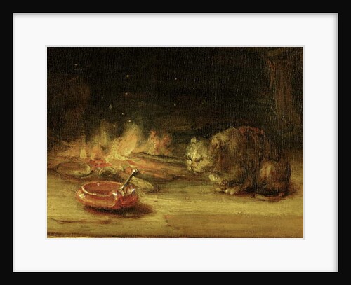 Cat by Rembrandt Harmensz. van Rijn