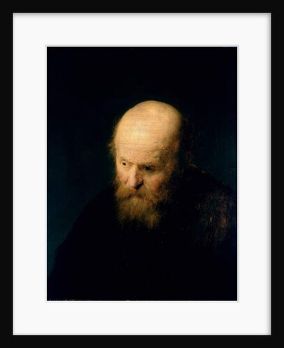 Head of a Bald, Old Man, 1632 by (studio of) Rembrandt Harmensz. van Rijn