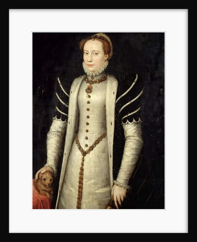 Portrait of a Noblewoman with a Puppy, 1555 by Anthonis van Dashorst Mor
