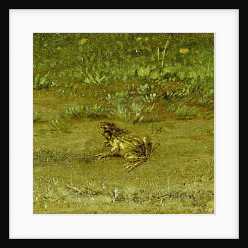 Toad by Paulus Potter