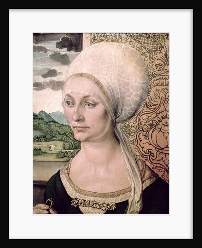 Portrait of Elsbeth Tucher, 1499 by Albrecht Dürer or Duerer