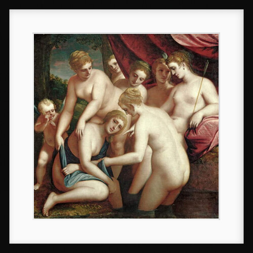 Diana Discovering the Pregnancy of Callisto, 1570 by Luca Cambiaso