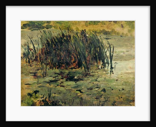 Reeds in Shallow Water by Paul Baum