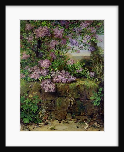 Blooming Lilacs in front of a Wall by Emilie von der Embde