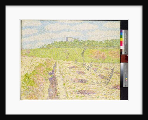 A Tuscan Vineyard by Paul Baum
