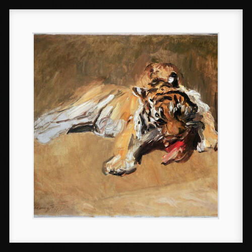 Feeding Tiger, 1901 by Max Slevogt