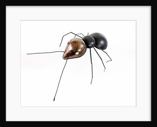 The Ant, 2006 by Lawrie Simonson