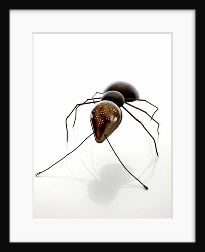Ant by Lawrie Simonson