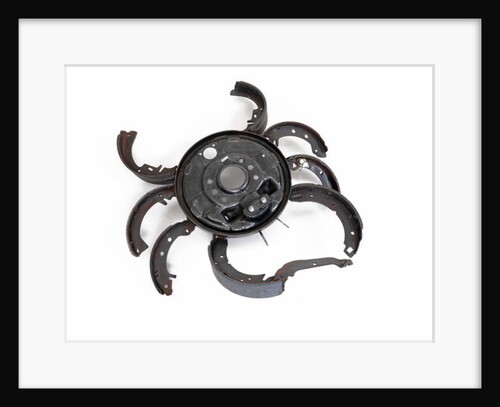 The Crab, 2005 by Lawrie Simonson