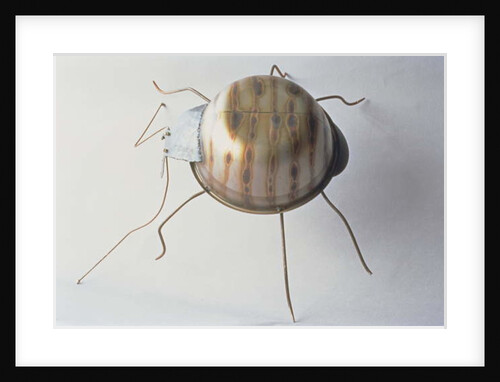 The Ground Beetle, 1995 by Lawrie Simonson