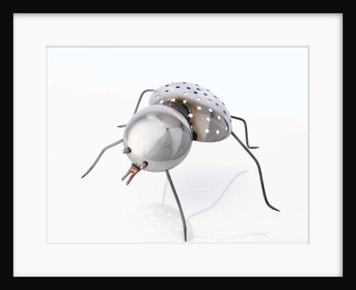 The Insect, 1996 by Lawrie Simonson