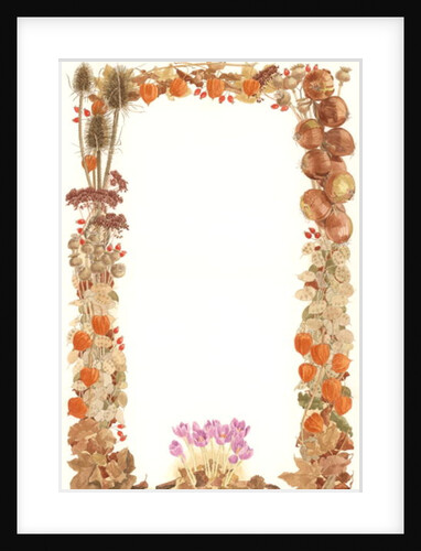 November, 1993 by Linda Benton