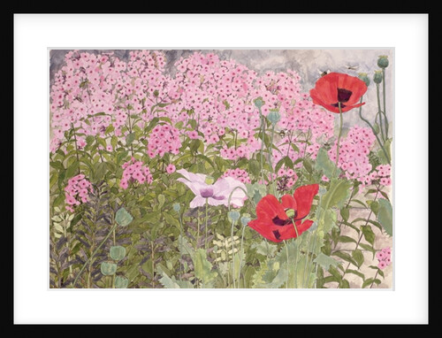 Poppies and Phlox by Linda Benton