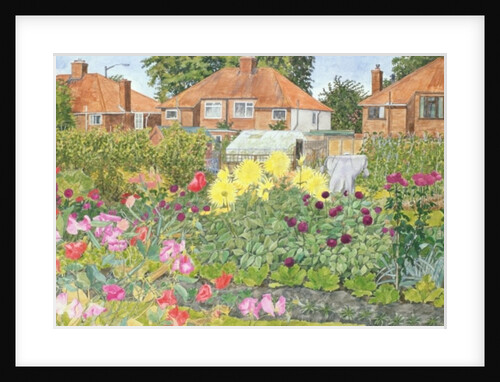 Allotments and Dahlias by Linda Benton