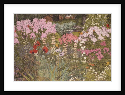 Pink Phlox in the Herbaceous Border by Linda Benton