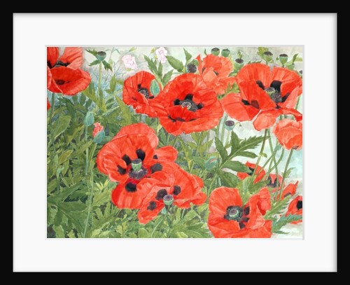 Poppies by Linda Benton